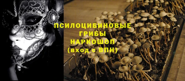 дмт Аркадак