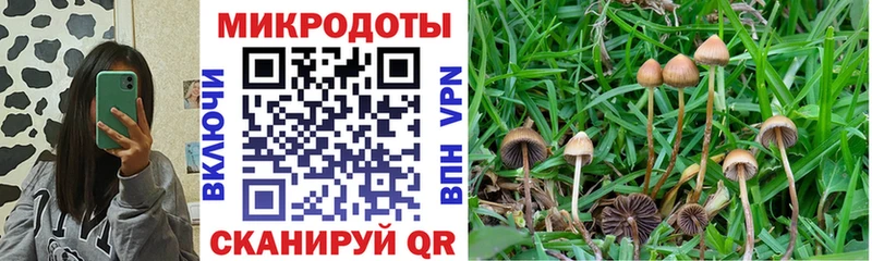kraken tor  Свирск  Галлюциногенные грибы прущие грибы 